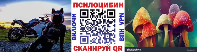 магазин Среднеколымск Псилоцибиновые грибы Cubensis